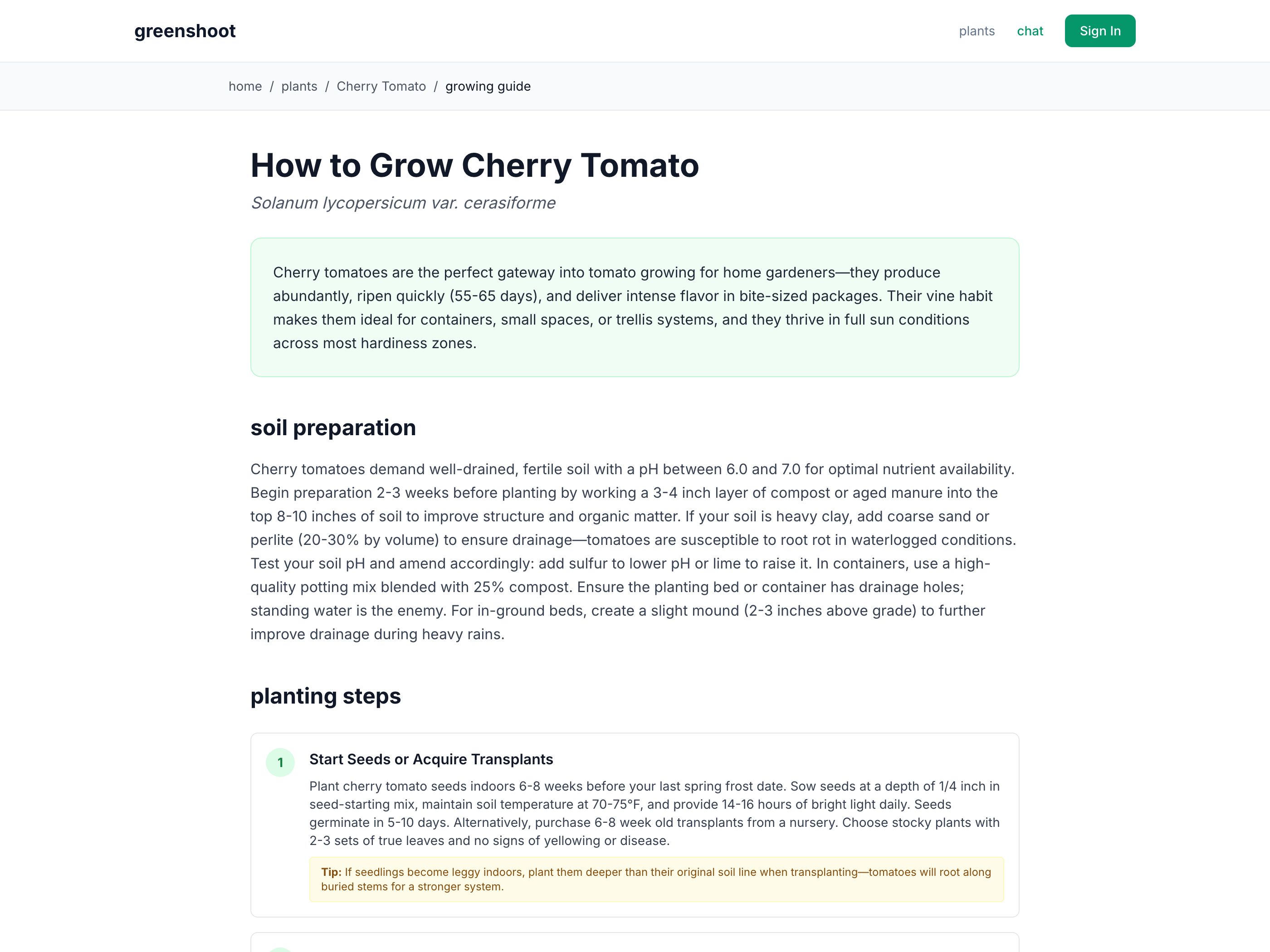 The live cherry tomato growing guide on greenshoot.app: soil preparation and step-by-step planting instructions with measured numbers — pH 6.0–7.0, 55–65 days to ripen, seed depth and soil temperatures.